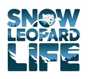 Snow Leopard Life